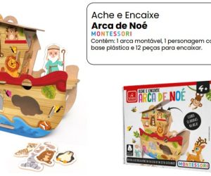 5281 - ACHE E ENCAIXE - ARCA DE NOE MONESSORI